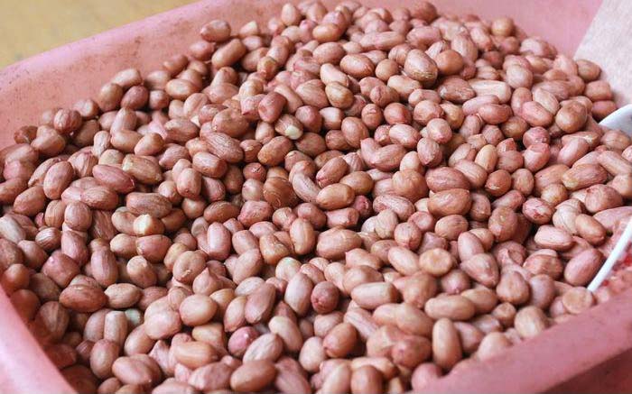 花生豆篩分設(shè)備