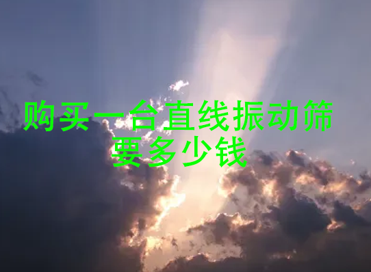 購買一臺直線振動篩要多少錢