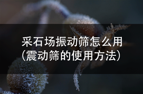 采石場振動(dòng)篩怎么用（震動(dòng)篩的使用方法） 
