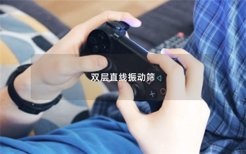 雙層直線振動(dòng)篩