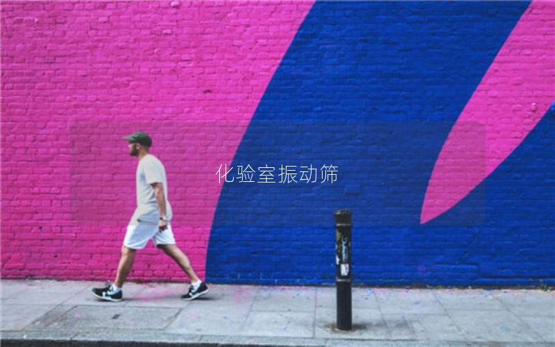 化驗(yàn)室振動(dòng)篩 化驗(yàn)室振動(dòng)篩